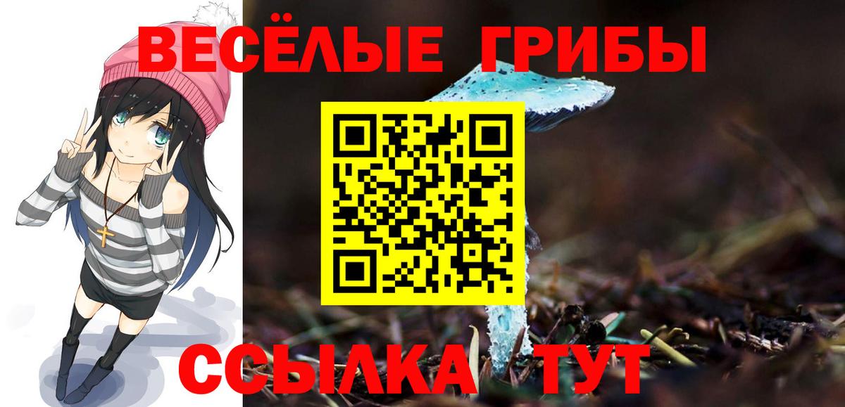 Псилоцибиновые грибы ЛСД Аргун