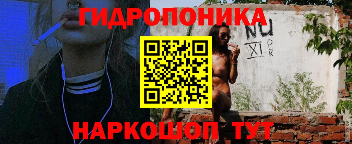 Канабис план  Вход с VPN  Шишки марихуана план  Бошки марихуана сатива  Аргун 